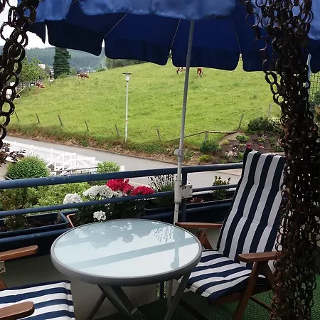 Haus Elsholz Willingen (Upland)